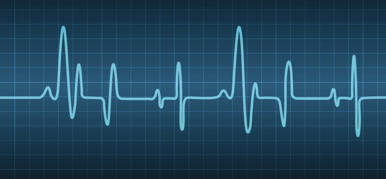 Screenshot of  web app